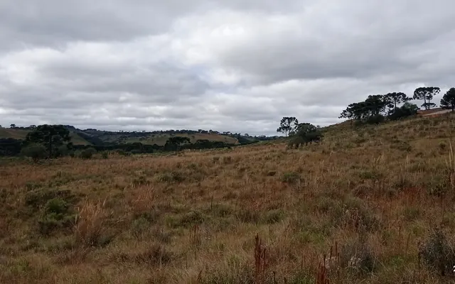 Paisagem de área de estudo geológico